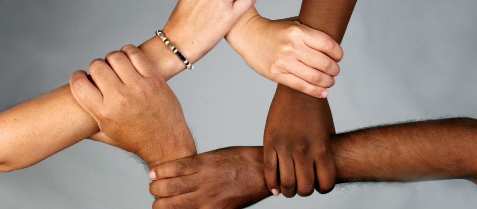 diversidad cultural e1465480221419 960x422 1