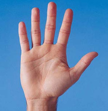 mano password digital d