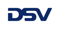 dsv porta organizaciones