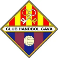 handbold porta organizaciones